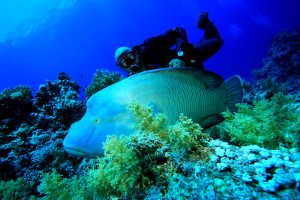 unterwasser malediven