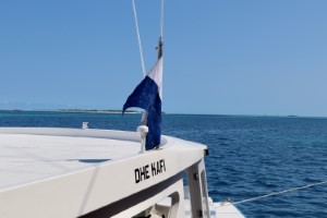 scuba diving holidays liveaboards